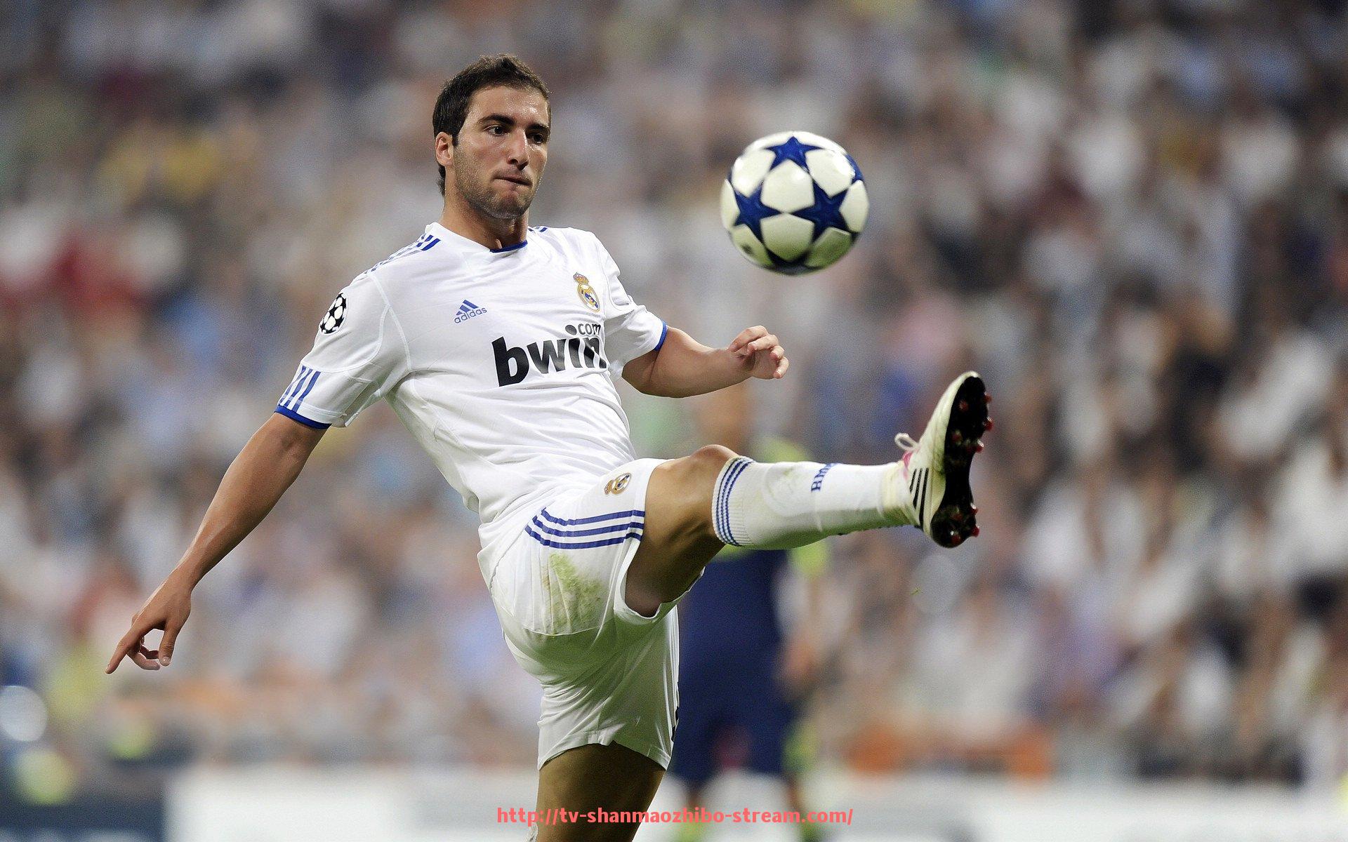 山猫直播官网-广州室内健身器材配置案例与采购方案解析